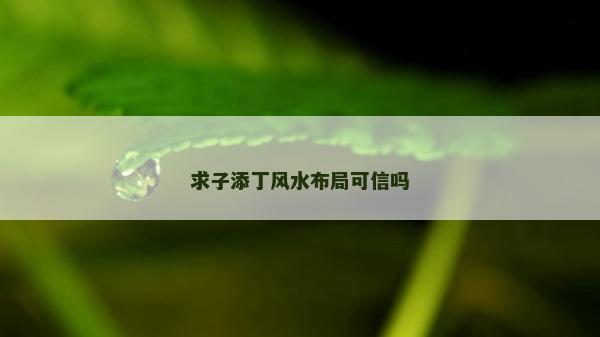 求子添丁風水布局可信嗎