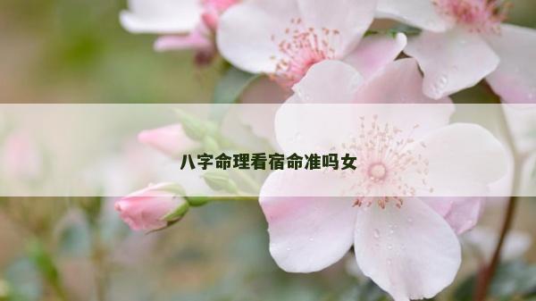八字命理看宿命準嗎女
