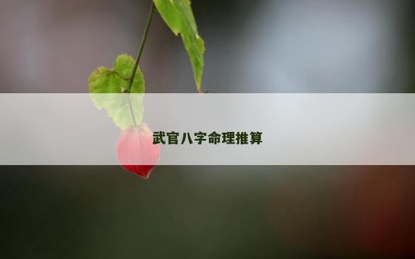 武官八字命理推算