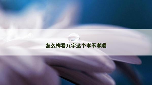 怎么樣看八字這個孝不孝順