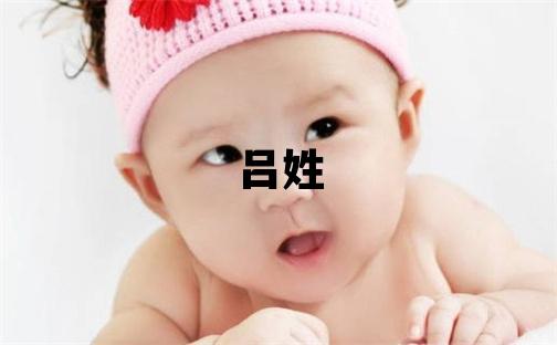 呂姓取名有新意的男寶寶名字