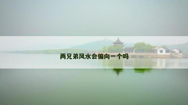 兩兄弟風水會偏向一個嗎