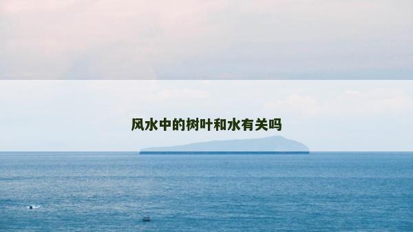風水中的樹葉和水有關嗎