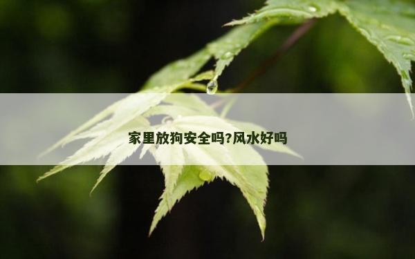家里放狗安全嗎?風水好嗎