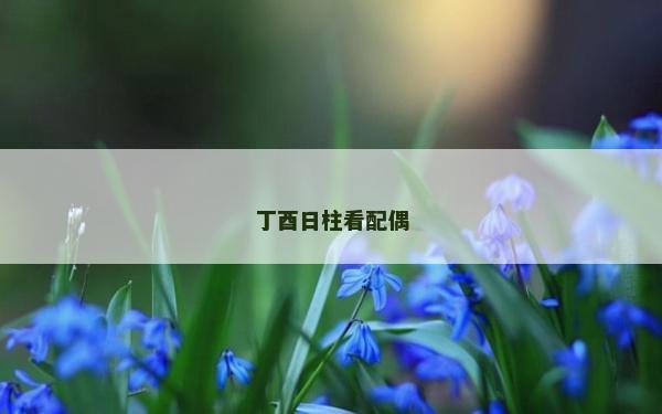 丁酉日柱看配偶