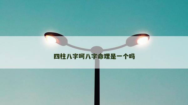 四柱八字呵八字命理是一個(gè)嗎