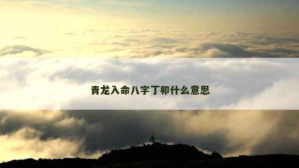 青龍入命八字丁卯什么意思