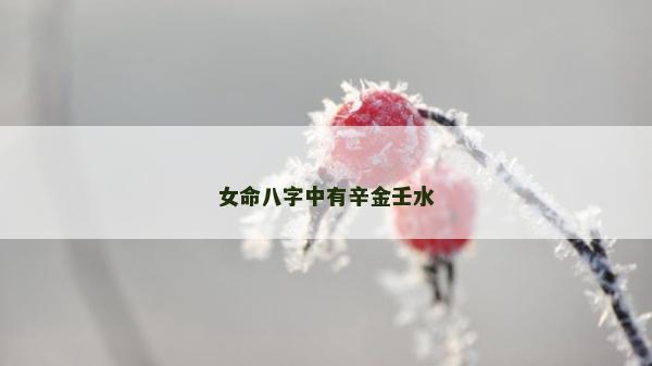 女命八字中有辛金壬水