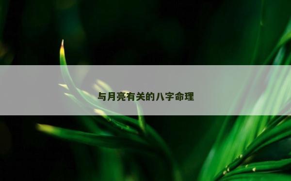 與月亮有關的八字命理