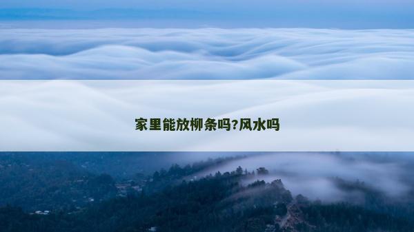 家里能放柳條嗎?風水嗎