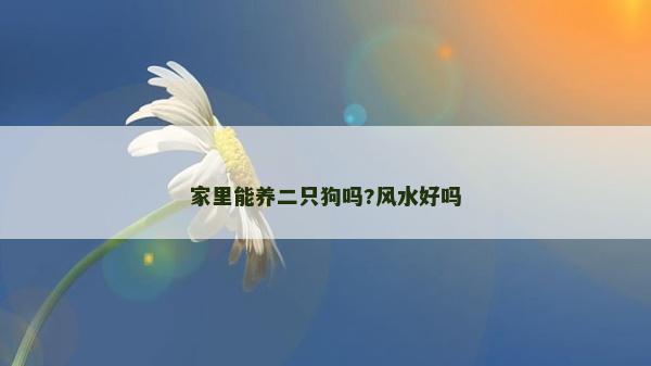 家里能養二只狗嗎?風水好嗎
