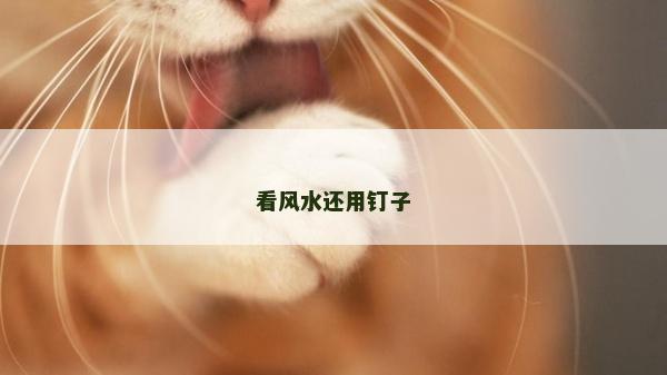 看風水還用釘子