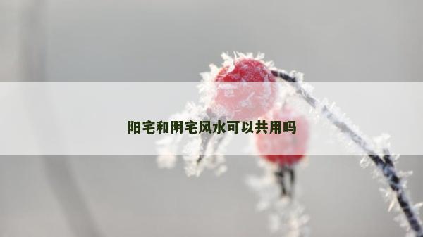 陽宅和陰宅風水可以共用嗎