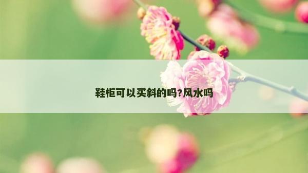 鞋柜可以買斜的嗎?風(fēng)水嗎