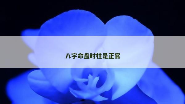 八字命盤時柱是正官