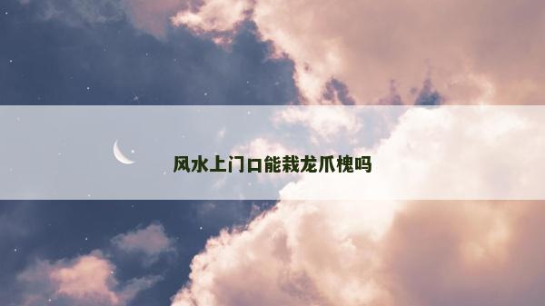 風水上門口能栽龍爪槐嗎