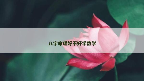 八字命理好不好學數學