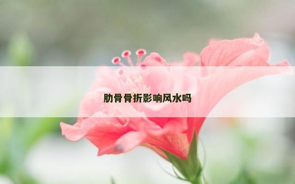 肋骨骨折影響風水嗎