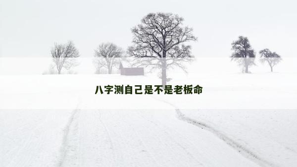八字測自己是不是老板命