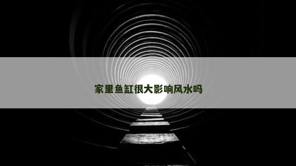 家里魚缸很大影響風水嗎