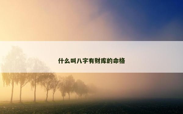 什么叫八字有財(cái)庫(kù)的命格