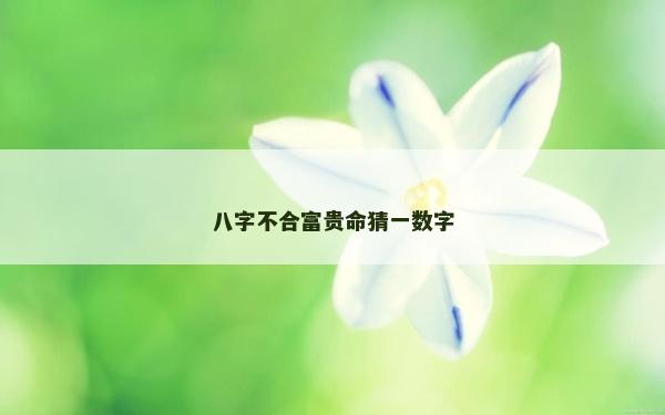 八字不合富貴命猜一數字