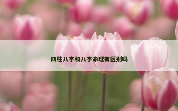 四柱八字和八字命理有區(qū)別嗎