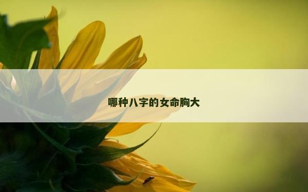 哪種八字的女命胸大