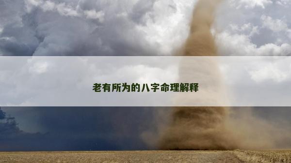 老有所為的八字命理解釋
