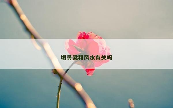 塌鼻梁和風(fēng)水有關(guān)嗎