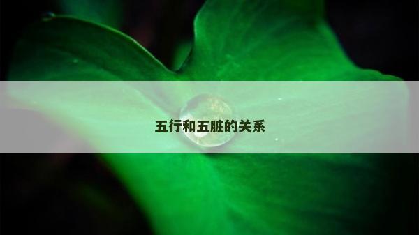 五行和五臟的關系