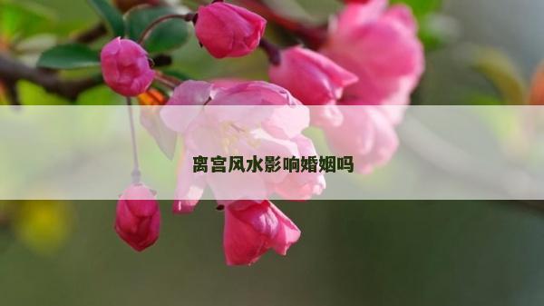 離宮風水影響婚姻嗎