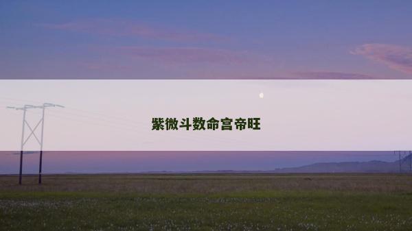 紫微斗數命宮帝旺