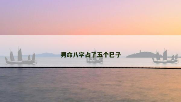 男命八字占了五個巳子