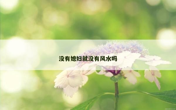 沒有媳婦就沒有風水嗎