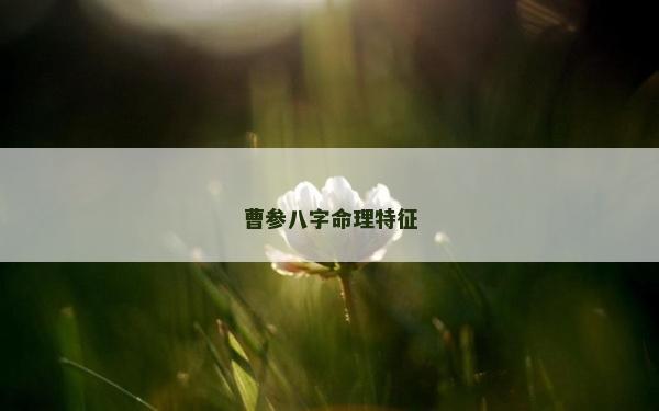 曹參八字命理特征