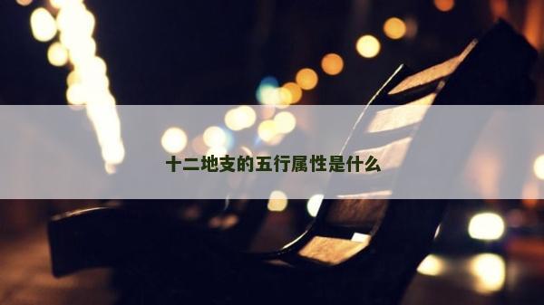 十二地支的五行屬性是什么