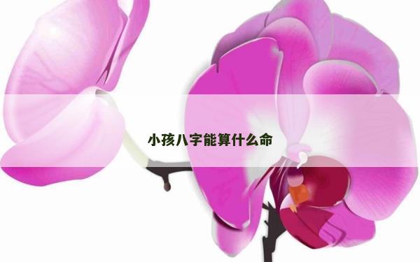 小孩八字能算什么命
