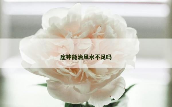 座鐘能治風(fēng)水不足嗎
