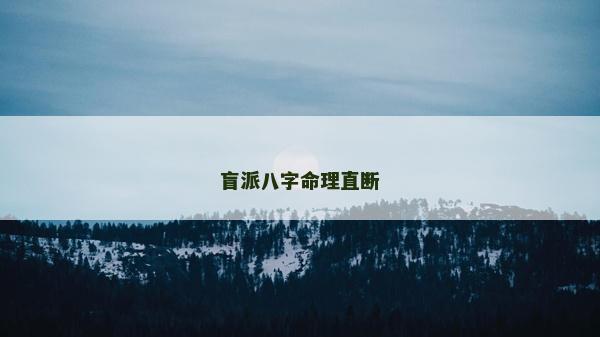 盲派八字命理直斷