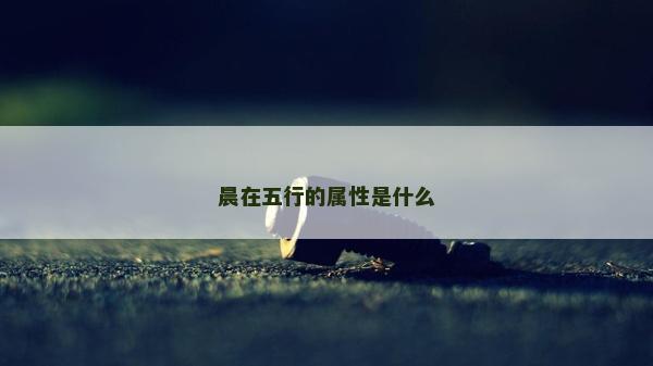 晨在五行的屬性是什么