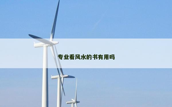 專業看風水的書有用嗎