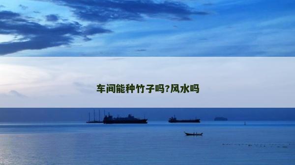 車間能種竹子嗎?風水嗎