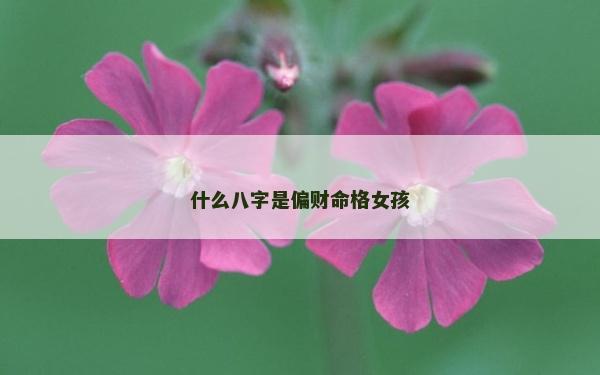 什么八字是偏財命格女孩 什么八字是偏財命格女孩