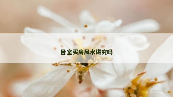 臥室買房風水講究嗎