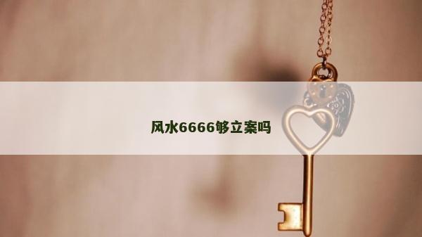 風(fēng)水6666夠立案嗎