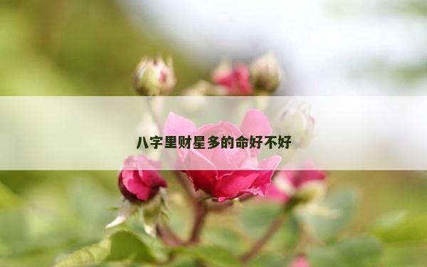 八字里財星多的命好不好