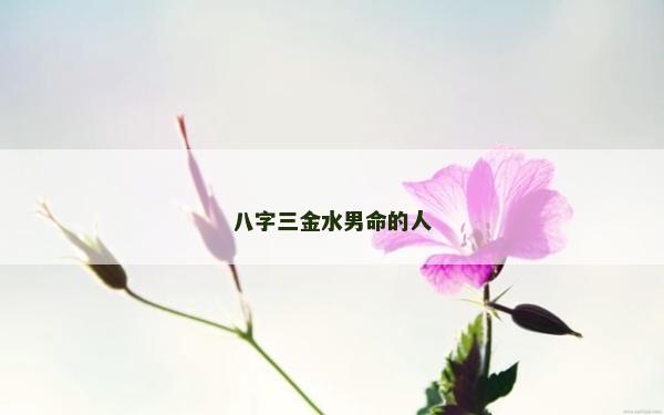 八字三金水男命的人