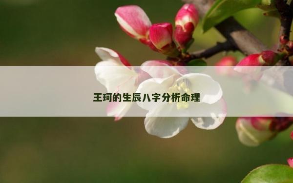 王珂的生辰八字分析命理