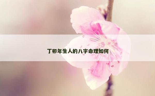 丁卯年生人的八字命理如何
